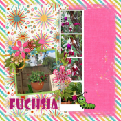 2023-02-15_Fuchsia