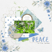 2025-02-24_Peace
