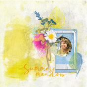 Summer meadow