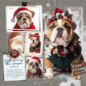 Embracing the Season