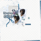 Flurries of Fun