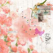 Stop and Smell the Roses