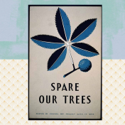 Spare our trees