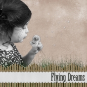 Flying Dreams