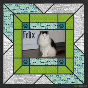 Strong Felix
