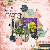 Love my garden