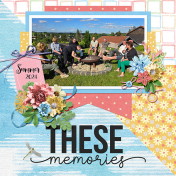These memories
