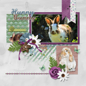 I love bunnies