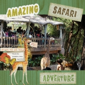 Giraffe Safari