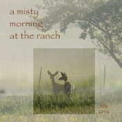 A Misty Morning at the Ranch
