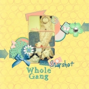 Whole Gang