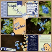 Forget Me Nots- part 1