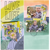 Live Life Bloom