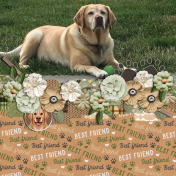 Best Friend- Sunny