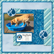 Dog Wash