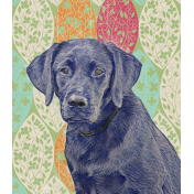 Pet Portraits for Charity