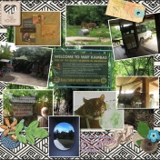 Sumatran Tiger experience