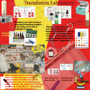 Transfusion Lab I
