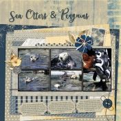 Sea Otters & Penguins