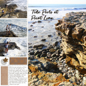 Tide Pools at Point Loma