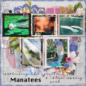 Protect the Gentle Manatee