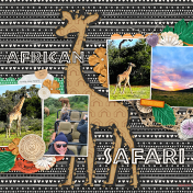African Safari- 1