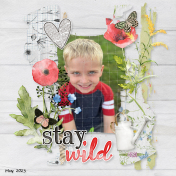 Stay Wild