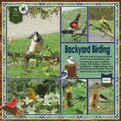 Backyard Birding September 2021