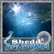 Shedd Aquarium 2019