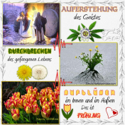 Das ist Frühling- That's spring