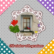 Old window with Geraniums