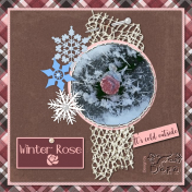 Winter Rose