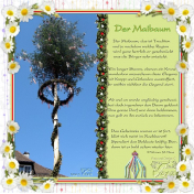 Der Maibaum- The Maypole
