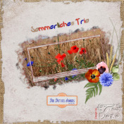 Sommerliches Trio- Summery Trio