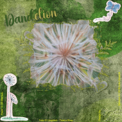 Dandelion