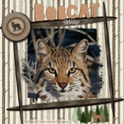 Bobcat