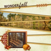 Wonderfall