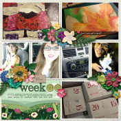 Week 12