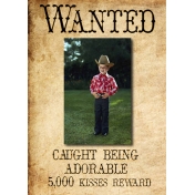 Wanted Poster