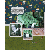 fauna