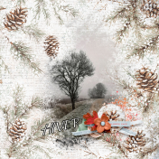 Winter Woods 02