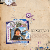 Toboggan Martin