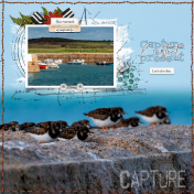 Capture l'instant
