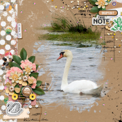 Cygne de Réthoville