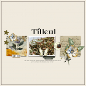 Tilleul