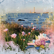 Bloom Gatteville