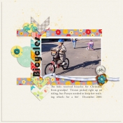 Family Album 2001: Bicycles