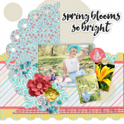 Blooms so Bright