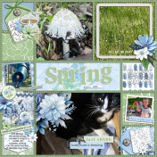 Spring Happenings 2025
