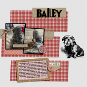 Bailey